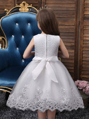 Girls Princess Dress Sleeveless Flower Embroidery Lace Mesh Tutu Dress