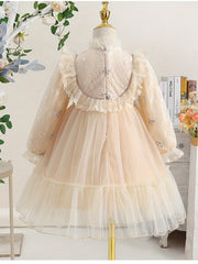 Girls' Lace Embroidered Princess Dress with Tulle