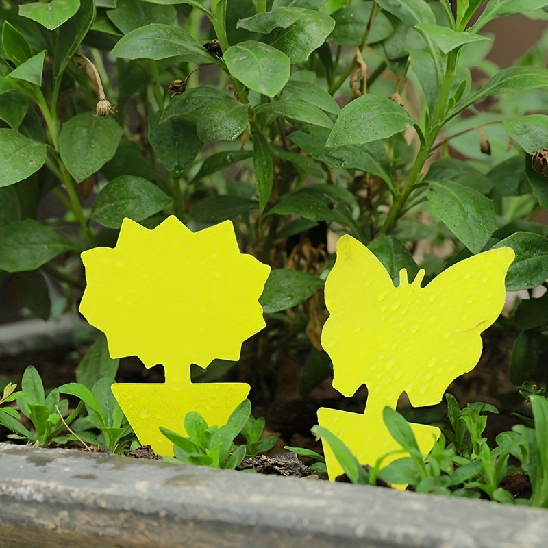 Sticky Traps for Fungus Fruit Fly Mosquito Bug Control Indoors Outdoors