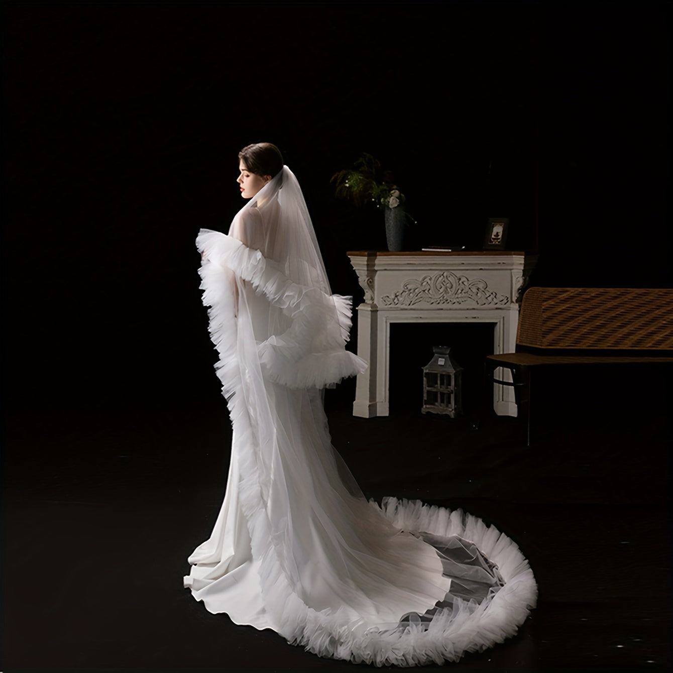 Elegant Long Train Veil for Brides at Weddings