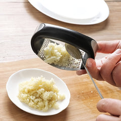 Stainless Steel Manual Garlic Masher