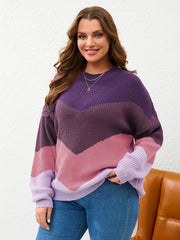 Colorblock Round Neck Sweater