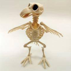 Halloween Crow Skeleton Venue Props