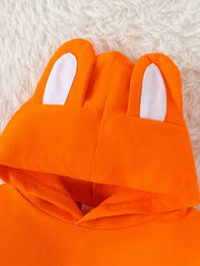 Baby Boys Fox Cartoon Hoodie & Pants Set