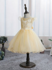 Baby Girls Floral Embroidery Mesh Gown Dress For Party Gift