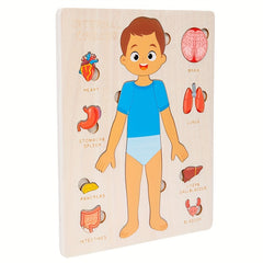 Wooden Human Body Puzzle Toy Educational Gift for Kids
