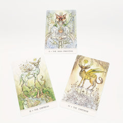 Phantasma Tarot Drinking Game for Friends Gathering