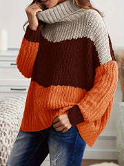 Colorblock Chunky Knit Top - High Neck Long Sleeve