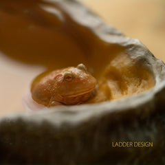 Resin Rock Dish for Reptile and Amphibian Feeding