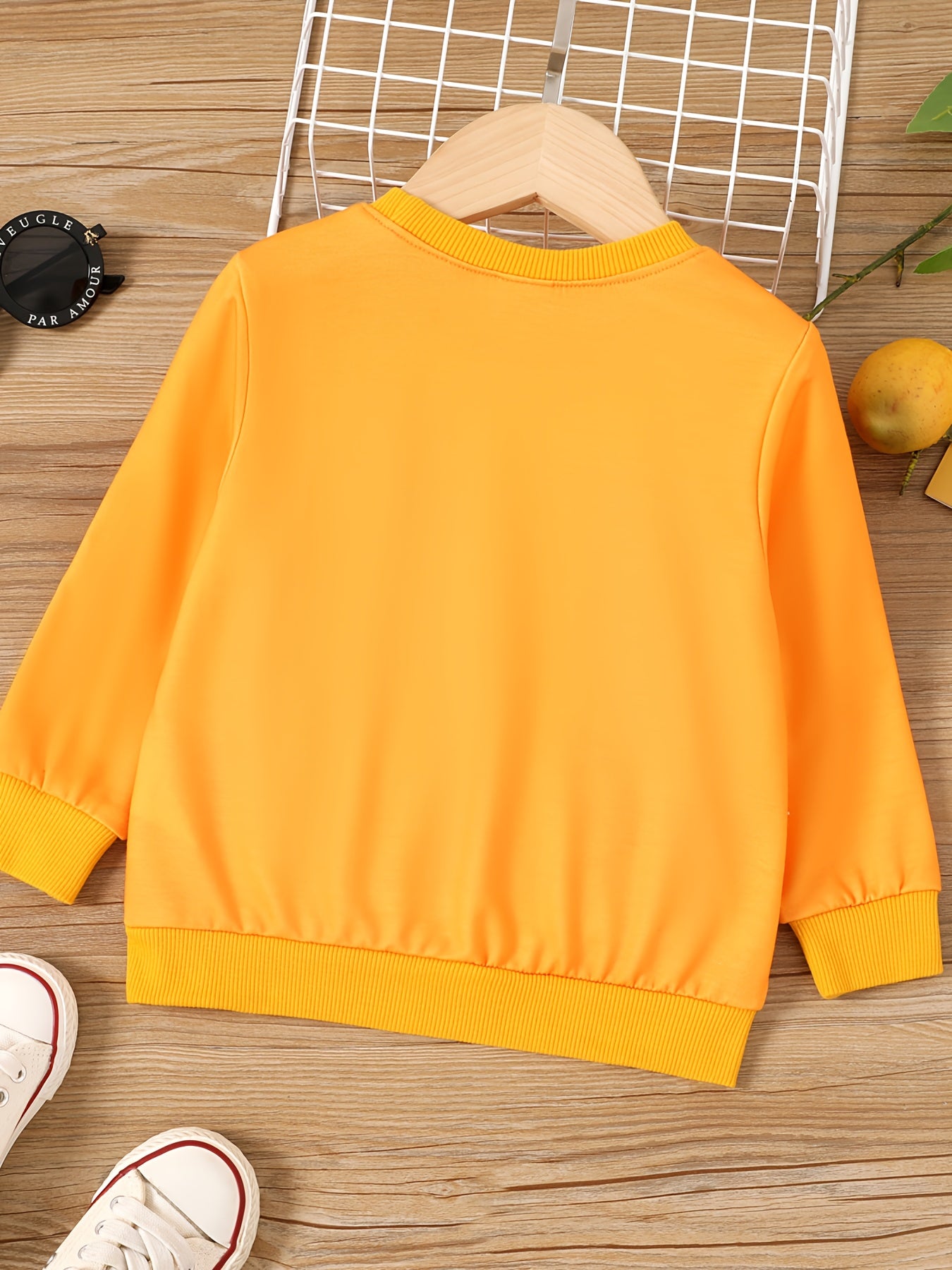 Lion Print Boys Pullover Sweatshirt Long Sleeve Crew Neck Tops