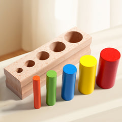 Wooden Matching Stick Training Recognition Hand Fine Motor Skills