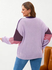 Colorblock Round Neck Sweater