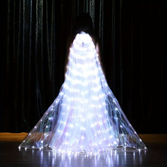 LED Glowing Wings For Adult Belly Dance 240 LEDs