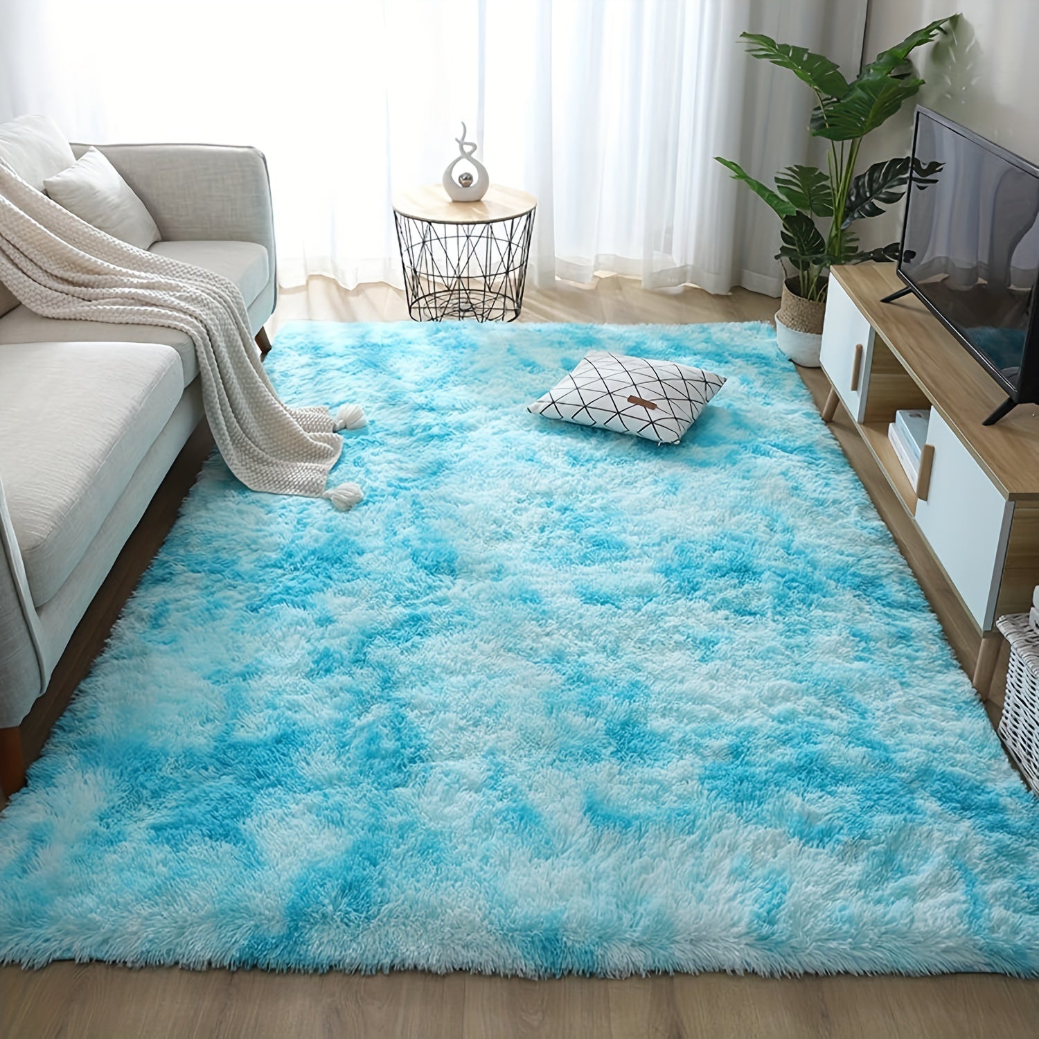 Soft Plush Rug Modern Living Room Decor