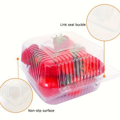 50pcs Plastic Flip Top Takeout Tray Disposable To Go Container