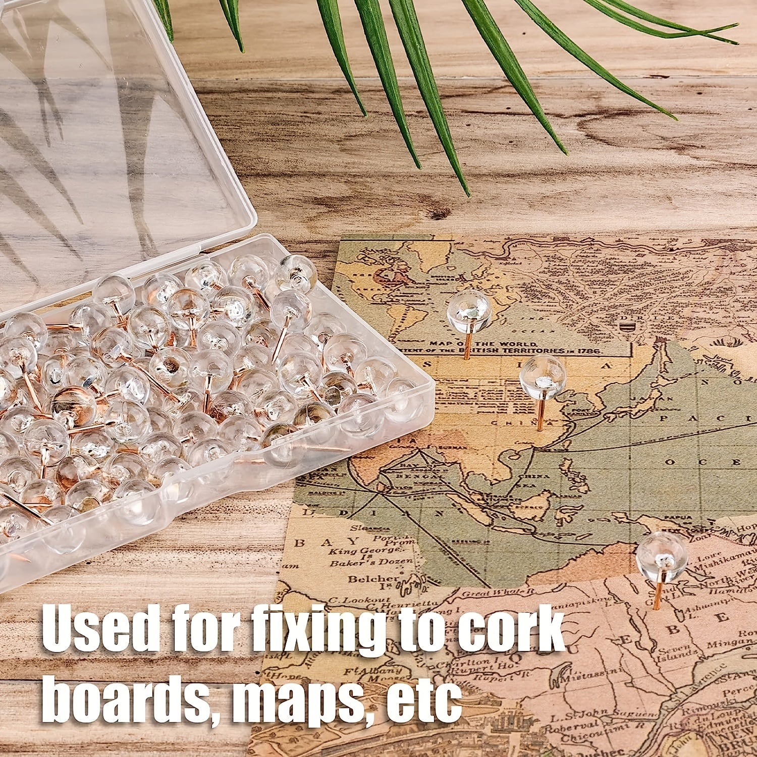 200pcs Transparent Round Ball Head Push Pins & Rose Golden Steel Point Map Tacks