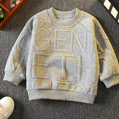 Boys Textured Pullover Crew Neck Sweatshirt