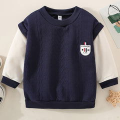Toddler Boys V Neck Block Sweatshirt With Cable Knit Pattern
