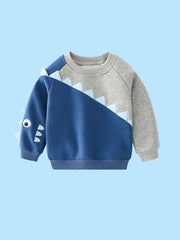 Dinosaur Print Boys Casual Sweatshirt Long Sleeve Crew Neck Tops