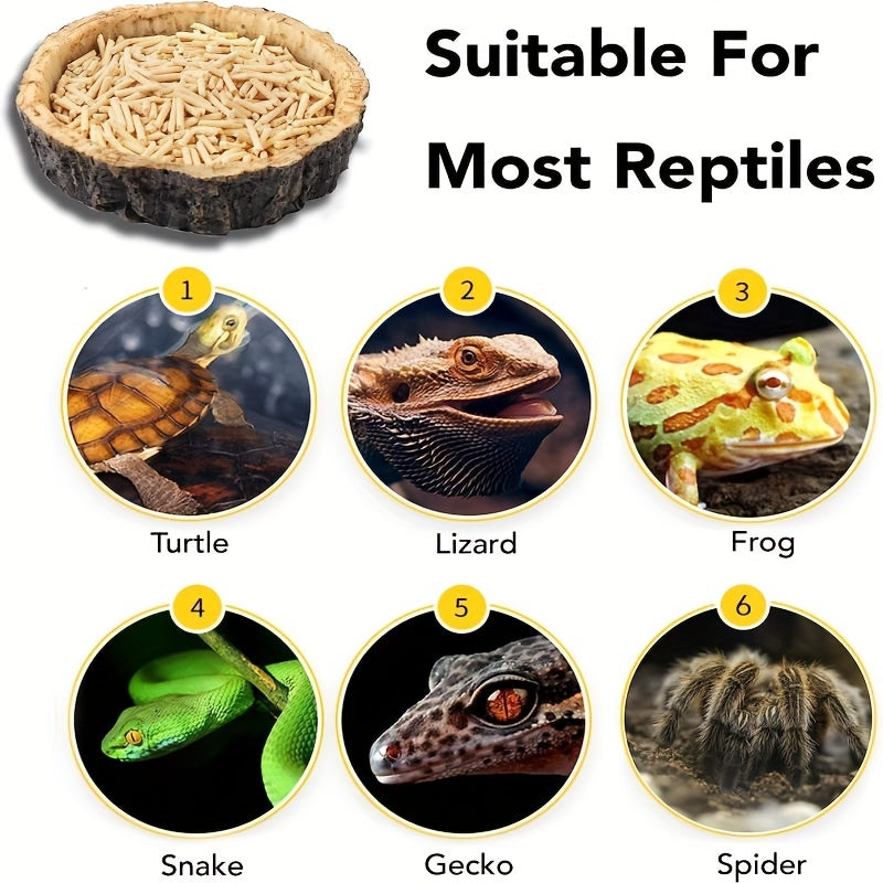Reptile Food & Water Dish for Lizards, Dragons, Snakes