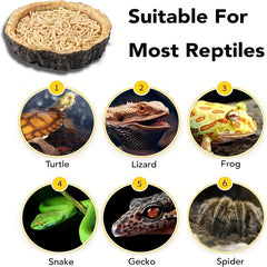 Reptile Food & Water Dish for Lizards, Dragons, Snakes
