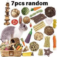 img_5511912