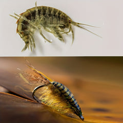80pcs Realistic Gammarus Shrimp Back Lures in 4 Colors