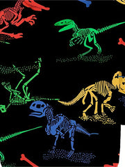Colorful Dinosaur Boys Hoodie Spring Fall Sweatshirt