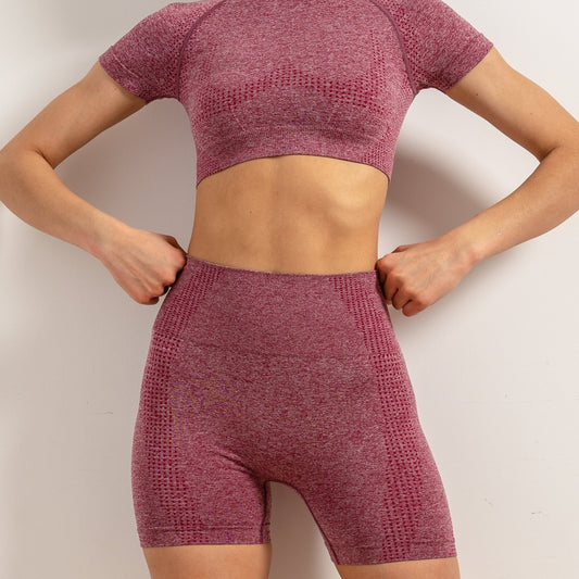 Seamless Yoga Sports Set Crop Top & Slimming Shorts