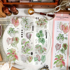 6 Sheets Retro Plant PET Stickers for Scrapbooking Decorative Collage