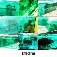 2pcs Humane Mouse Traps Catch & Release for Small Rodent Voles
