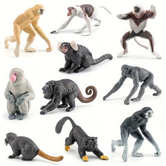 Primate & Oceania Wildlife Model Set Educational Toy