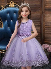 Girls Princess Dress Sleeveless Flower Embroidery Lace Mesh Tutu Dress