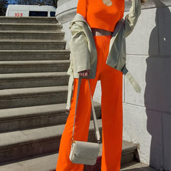 Solid Casual Two piece Set Hollow Out Long Sleeve Tops & Wide Leg Pants