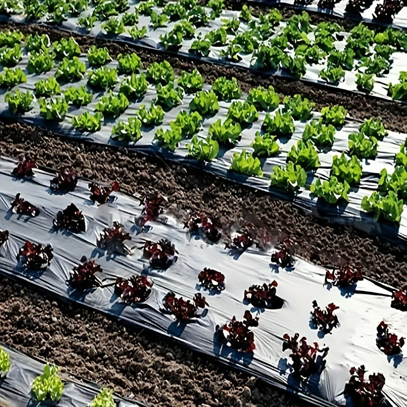 Plastic Film Garden Weed Control Barrier for Planting & Mulching