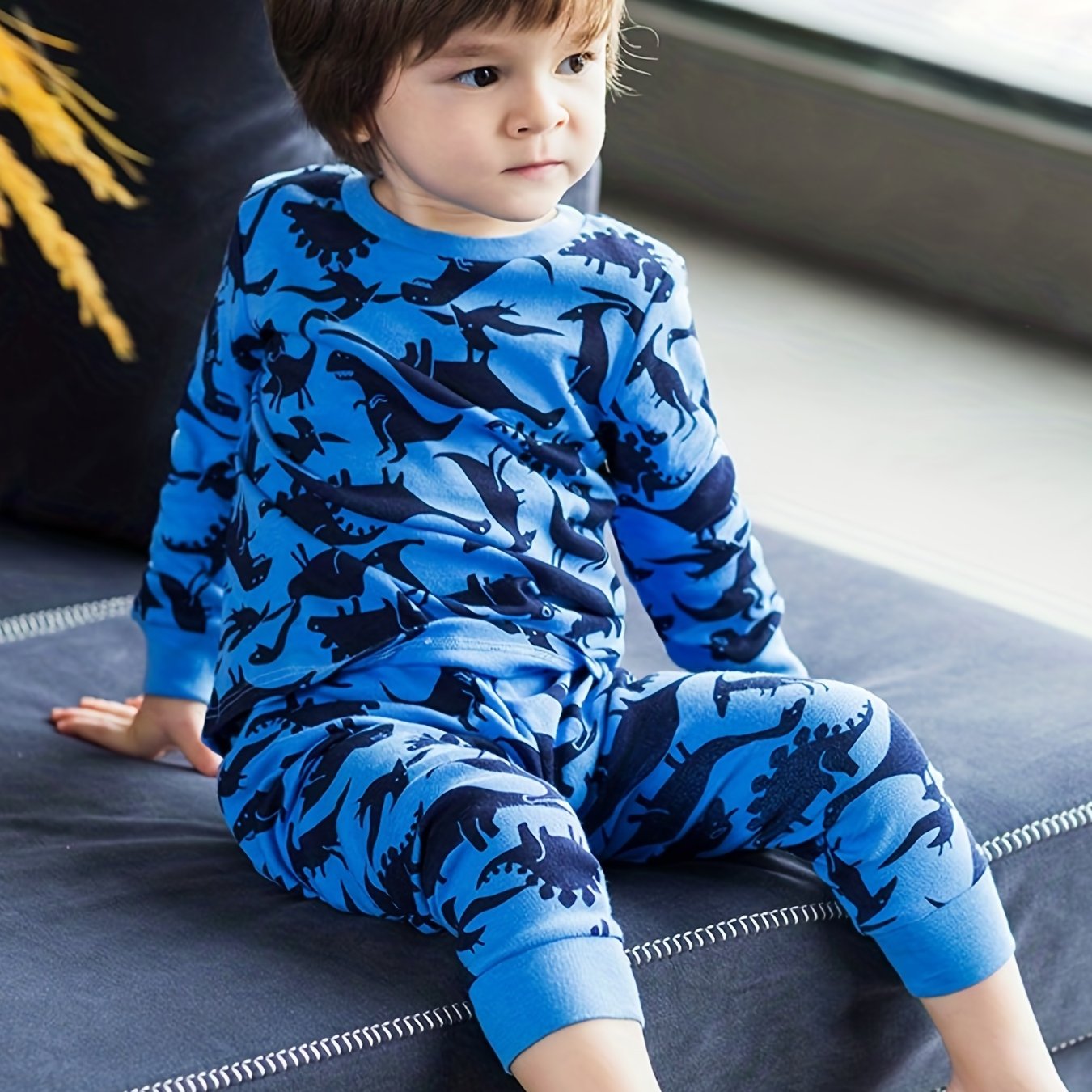 Boys' Dino Print Pajama Set Long Sleeve Top & Pants