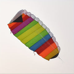 Colorful Dual Lines Kite with D Handles and Flying Lines