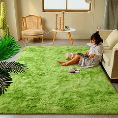 Soft Shag Area Rug for Living Room Bedroom Dorm Non Slip Carpet