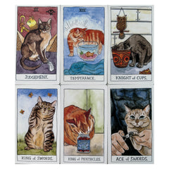 Cartoon Cat Tarot Cards Set for Beginners with Guidebook