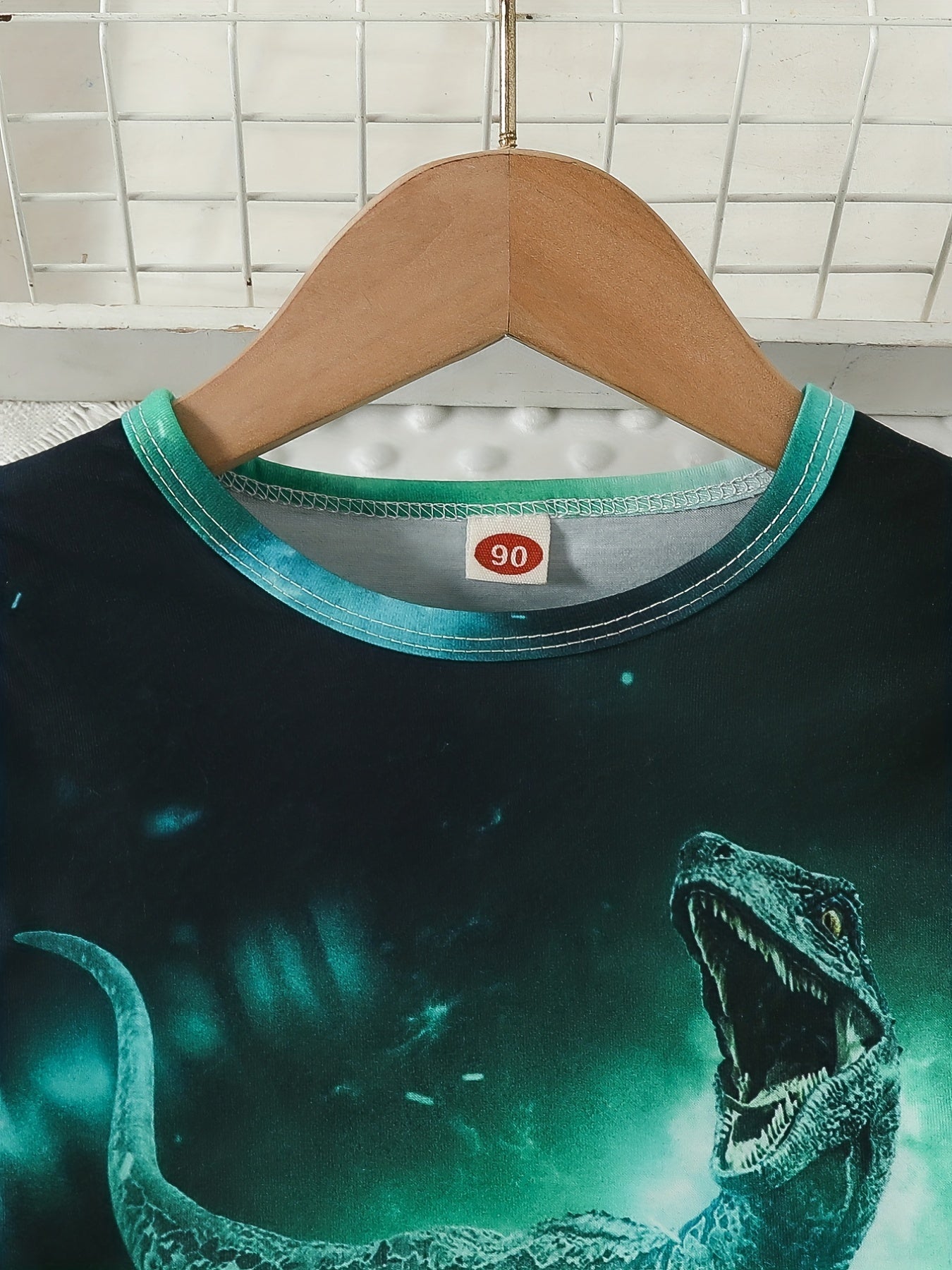 Boys' Dino Print Crew Neck Sweatshirt for Fall/Winter