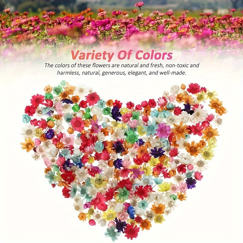 140pcs DIY Dry Flowers Handcraft Decoration Material