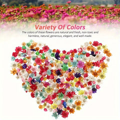 140pcs DIY Dry Flowers Handcraft Decoration Material