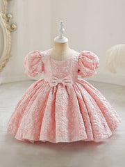 Baby Girls Flower Bowknot Princess Dress Clothes