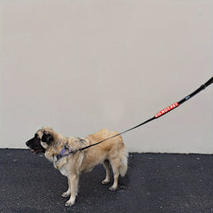 img_6396324