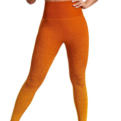 Seamless Gradient Leggings Sports Fitness Yoga Running Pants