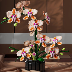 Elegant Champagne Orchid Building Block Bouquet