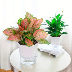 1pc Creative Flowerpot for Indoor Outdoor Home Decor