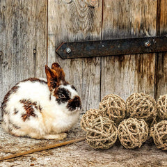 4 Pcs Small Animal Chew Balls Toy Rolling Activity Balls Bunny Treat Grass Ball