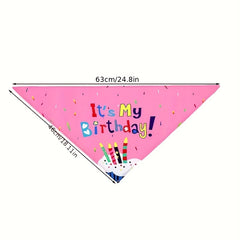Dog Birthday Bandana & Hat Set - Pet Party Supplies