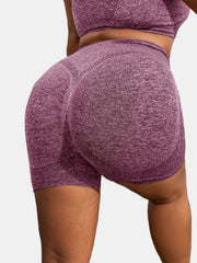 Seamless High Rise Yoga Shorts